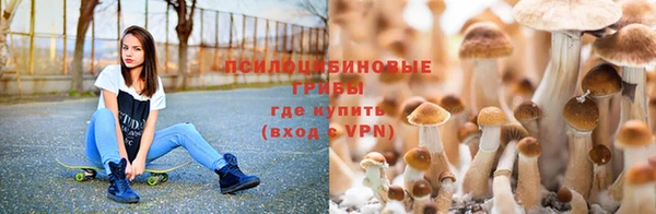 меф Армянск