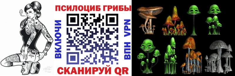Псилоцибиновые грибы Cubensis  купить наркотик  Чернушка 